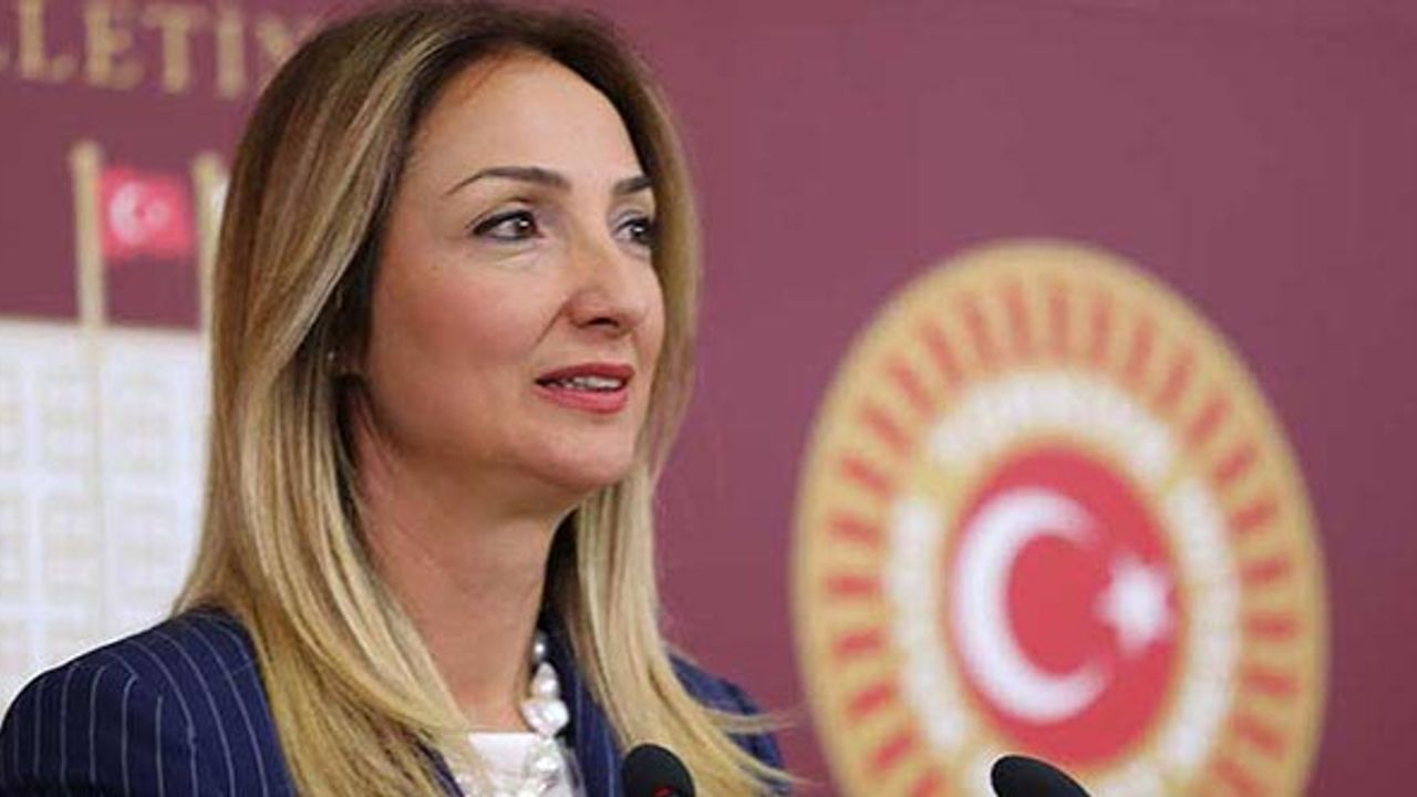 CHP'li Aylin Nazlıaka’ya açılan 'İstanbul Sözleşmesi' davasına ret