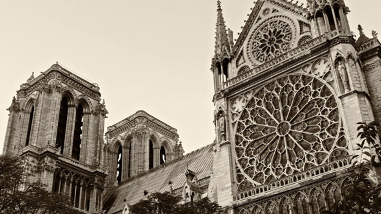 Yanan tarih Notre Dame için bin ağaç