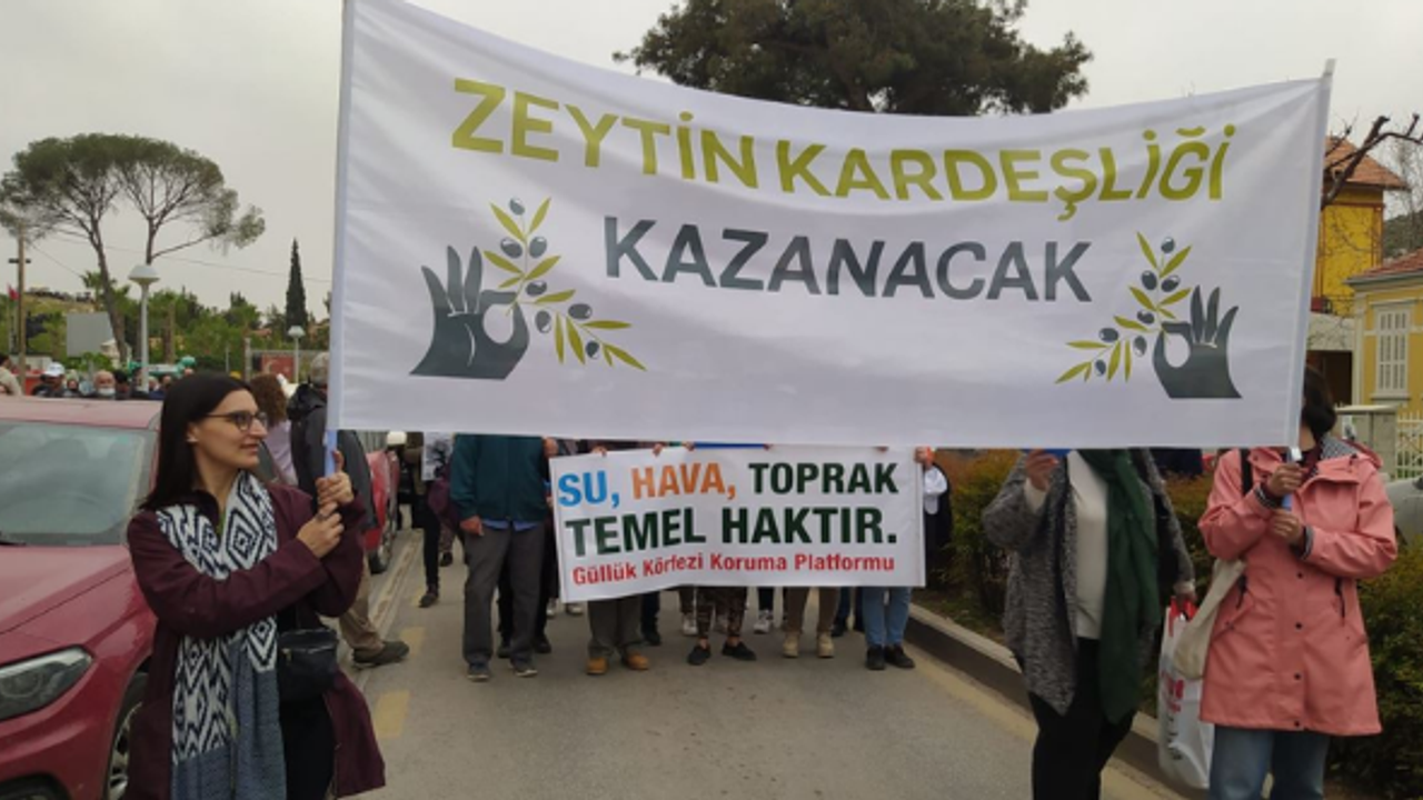Milas'ta 'Zeytin Hayattır, Hayatıma Dokunma' mitingi: Zeytinciliğin idam fermanı imzalanmıştır