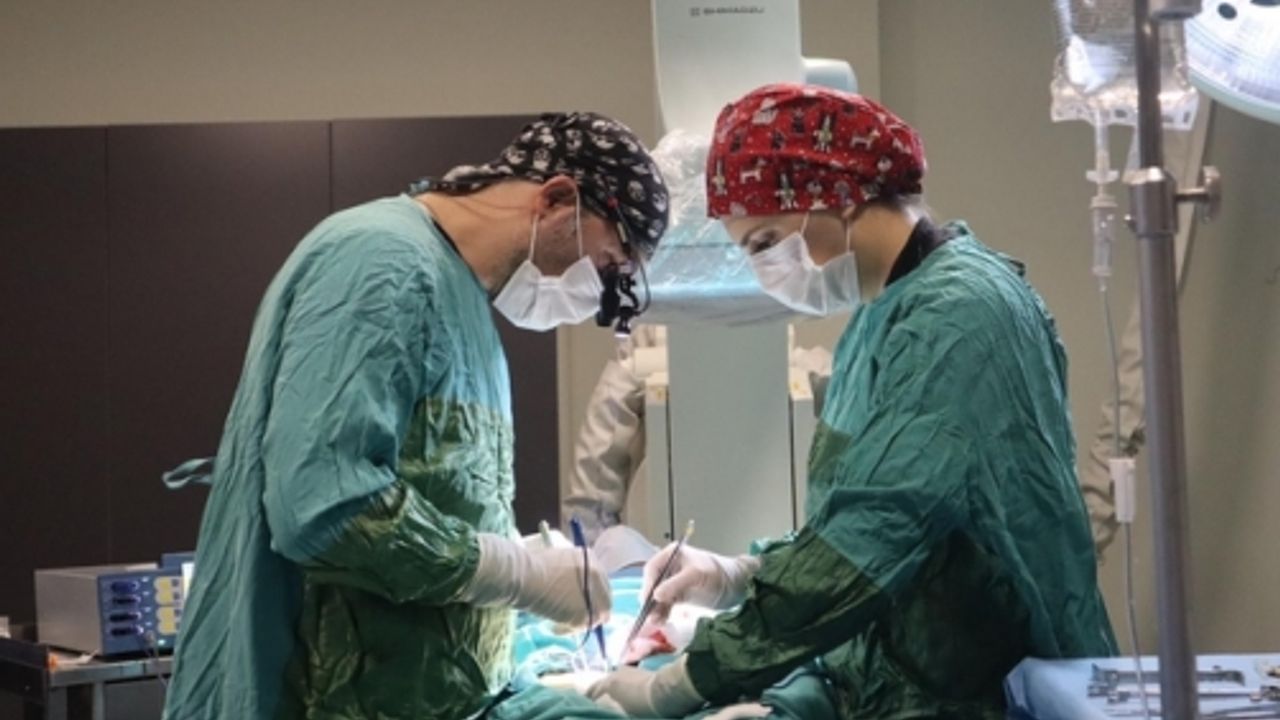 Yalova’da bir ilk! Özel Atakent Hastanesi’nde endovasküler anevrizma onarımı yapıldı