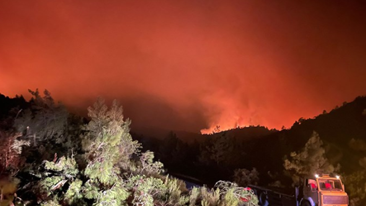 Bakan Soylu duyurdu: Marmaris'teki orman yangınıyla ilgili bir kişi gözaltına alındı