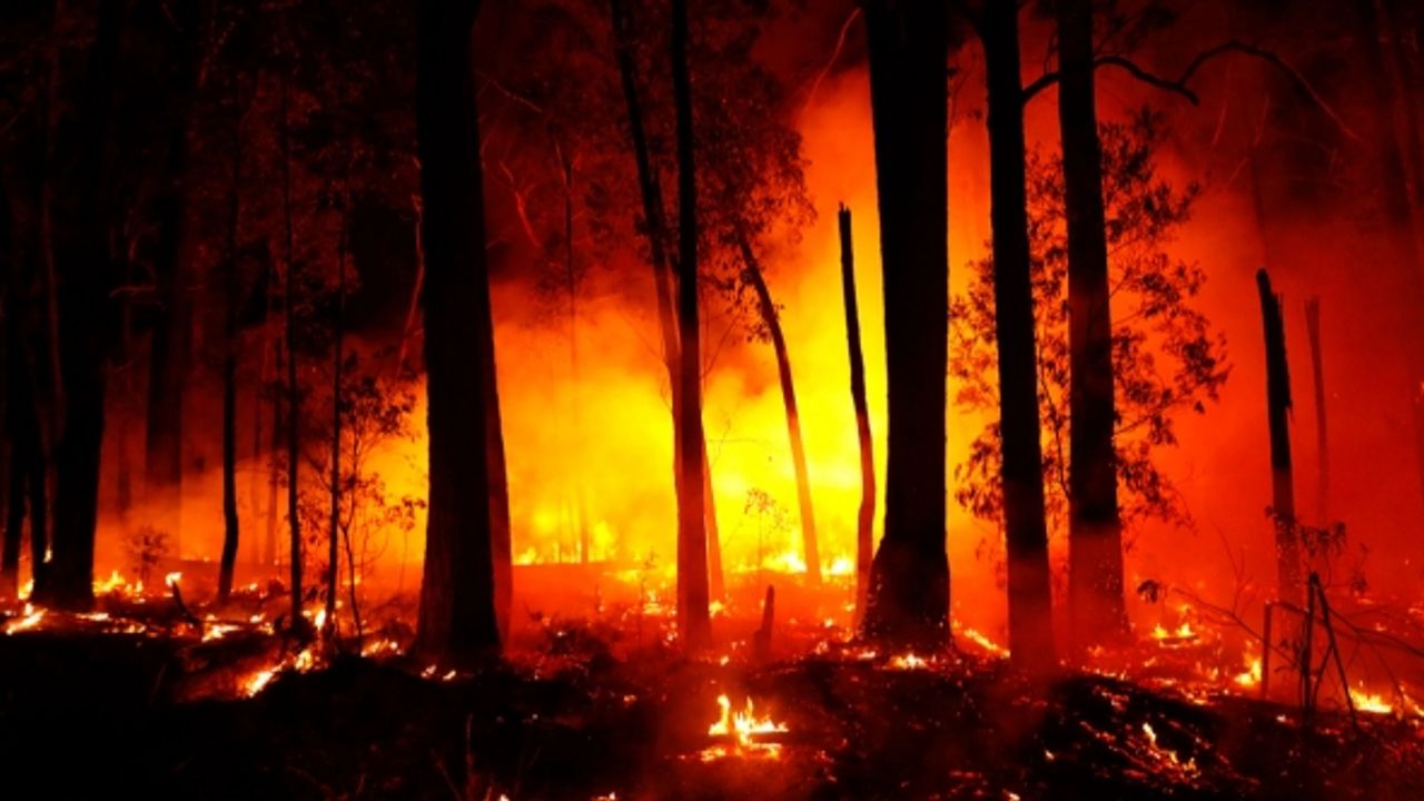 Avrupa yanıyor: Sıcak hava dalgası yangınları körüklüyor