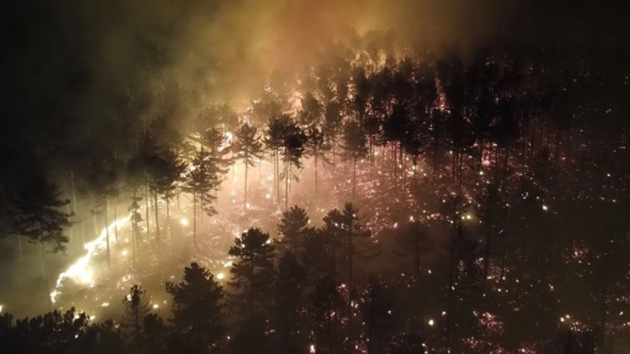 Manisa ve Kütahya'da orman yangınları: 8 ev kül oldu, 40 kişi tahliye edildi