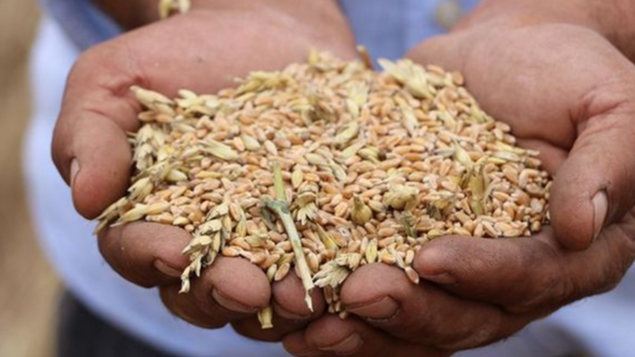 BM’den gıda krizine çare: Küçük çiftçilere yatırım yapın