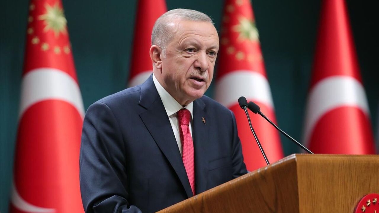 'Türkiye gibi bir ülke herhalde armut toplamayacak bir şeyler yapması lazım'