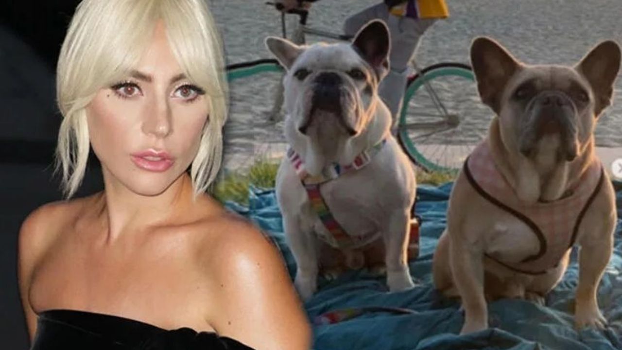 Lady Gaga’nın köpeklerini çalan adama 21 yıl hapis cezası