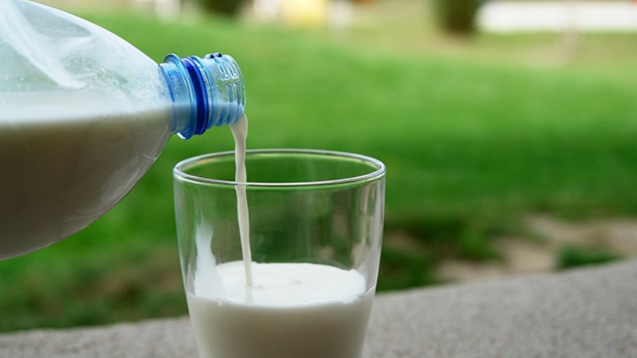 Süt ürünleriyle ilgili yeni düzenleme: Artık kullanılmayacak