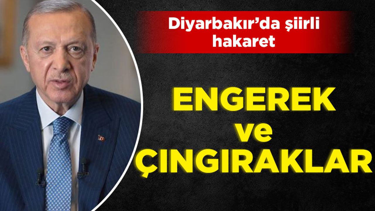 Cumhurbaşkanı Erdoğan'dan muhalefete yeni hakaret: Bunlar engerek ve çıyanlardır