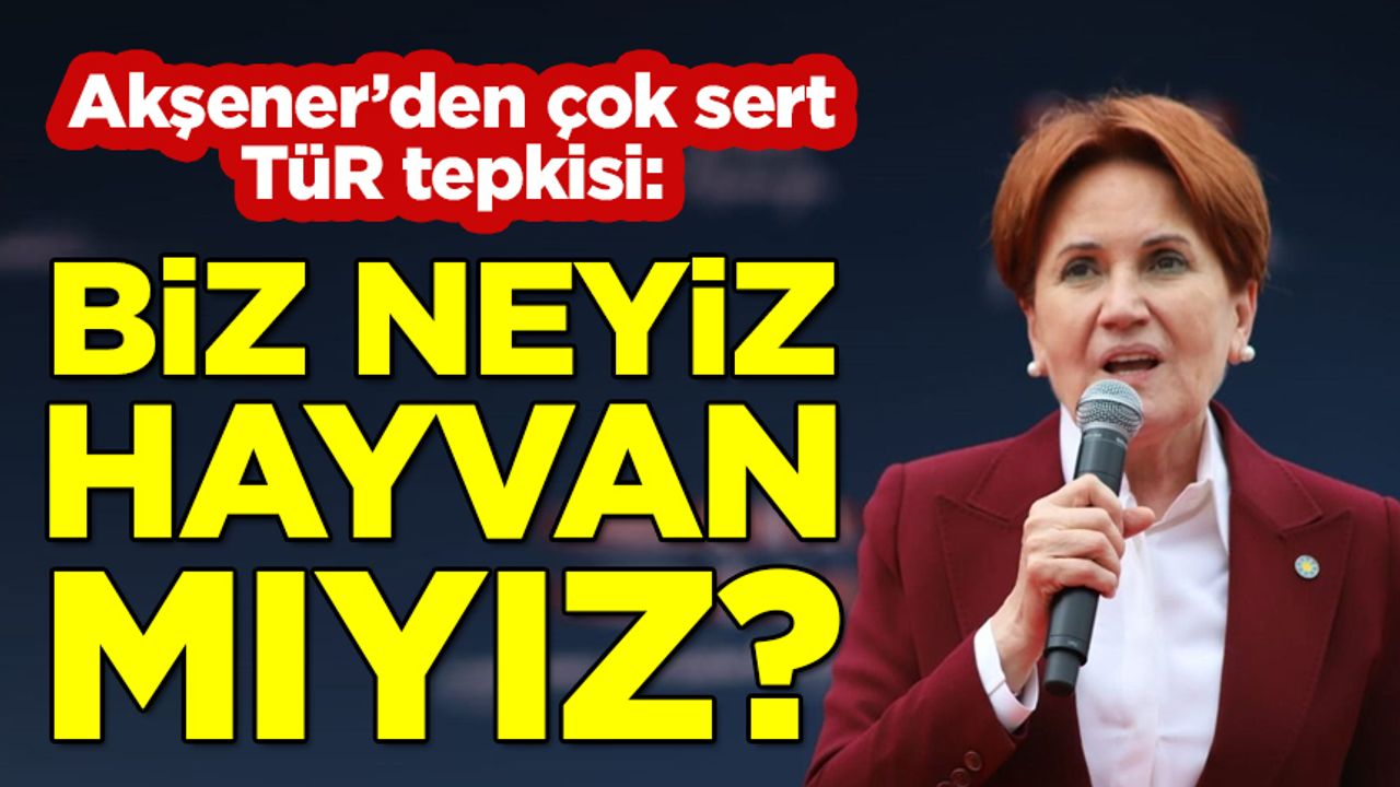 Akşener'den Erdoğan'a çok sert 'tür' tepkisi: Biz hayvan mıyız?
