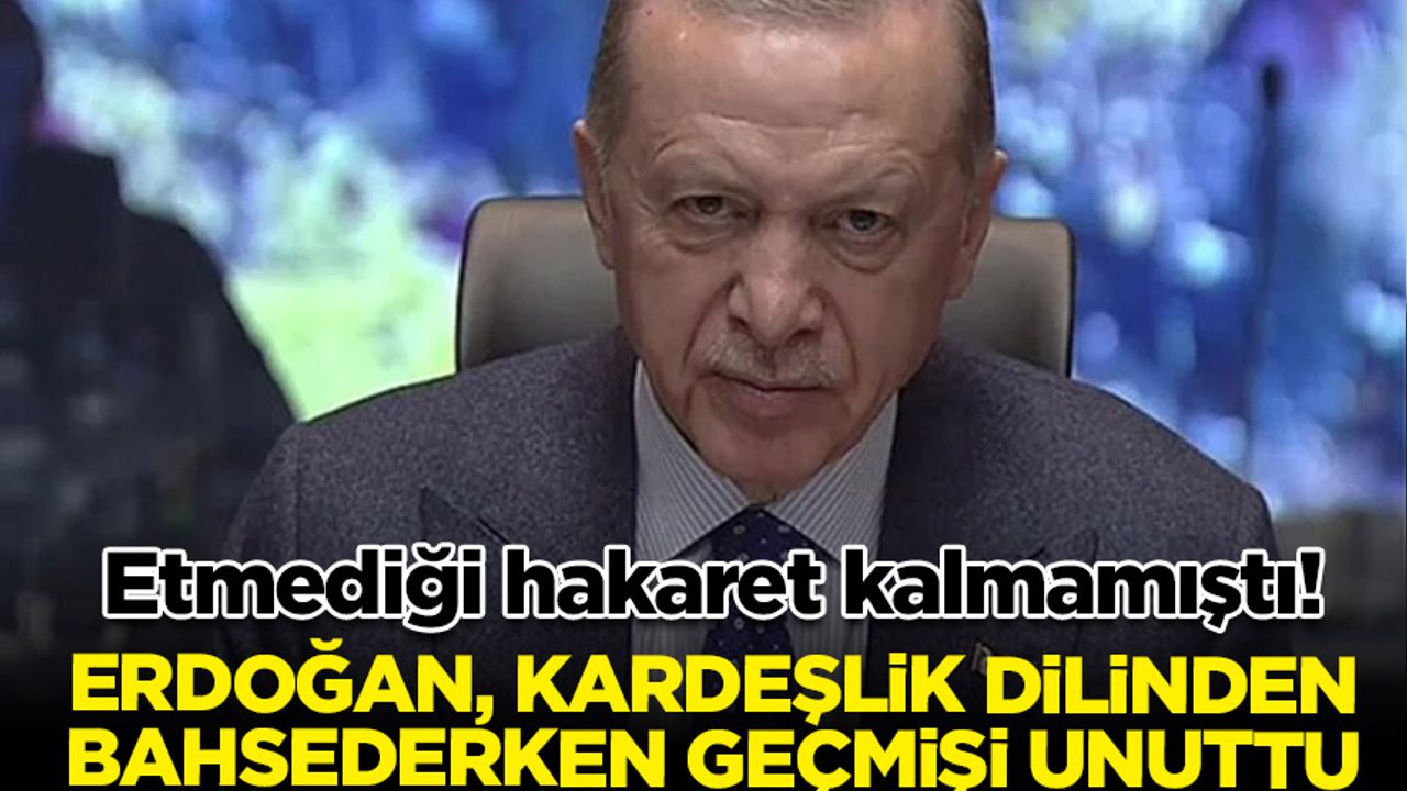Erdoğan, kardeşlik dilinden bahsederken geçmişi unuttu! Muhalefeti hedef aldı