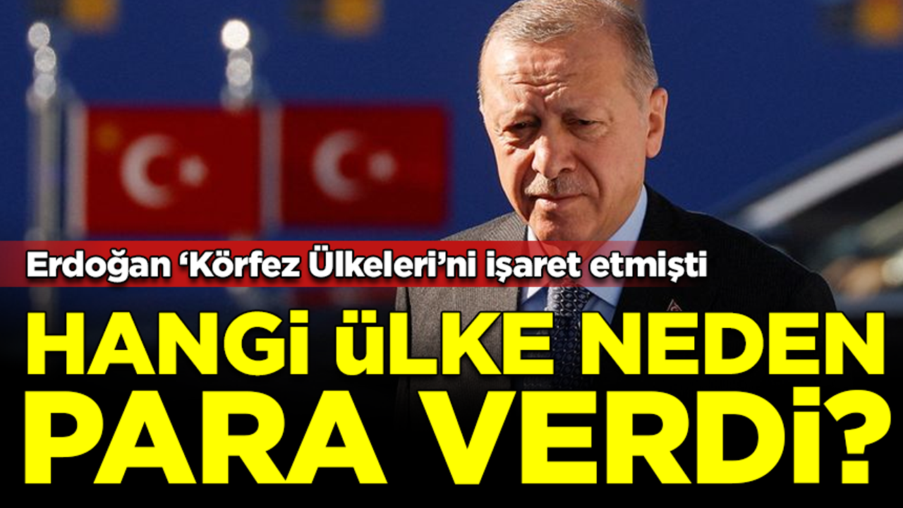 Erdoğan 'Körfez ülkeleri' demişti... Türkiye'ye hangi ülke neden para verdi?