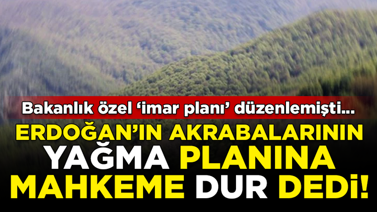Erdoğan'ın akrabalarının 'yağma' planına mahkeme DUR dedi!