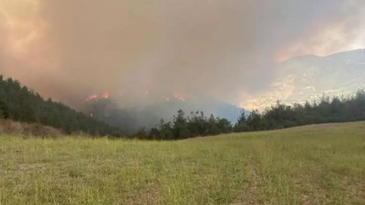 Bursa'da orman yangını! Havadan müdahale için uçak talep edildi