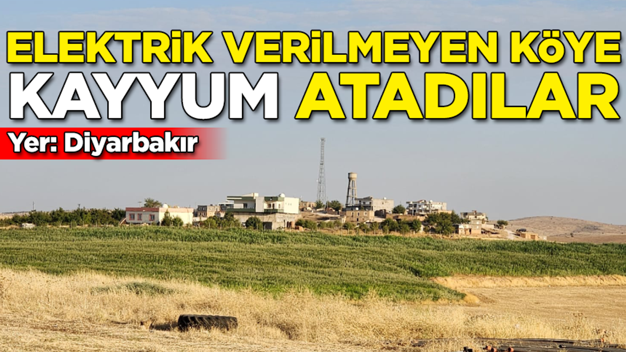 Diyarbakır'da elektrik verilmeyen köye 'kayyum' atadılar!
