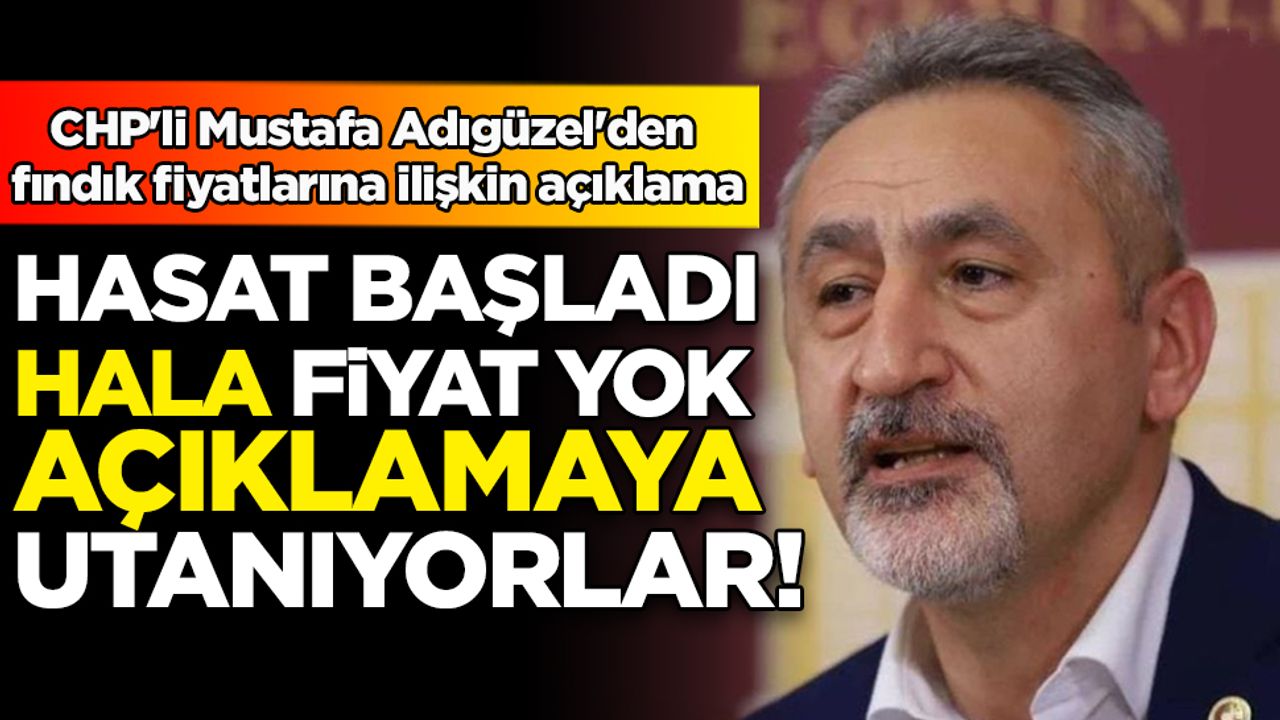 CHP'li Mustafa Adıgüzel'den fındık fiyatlarına ilişkin açıklama