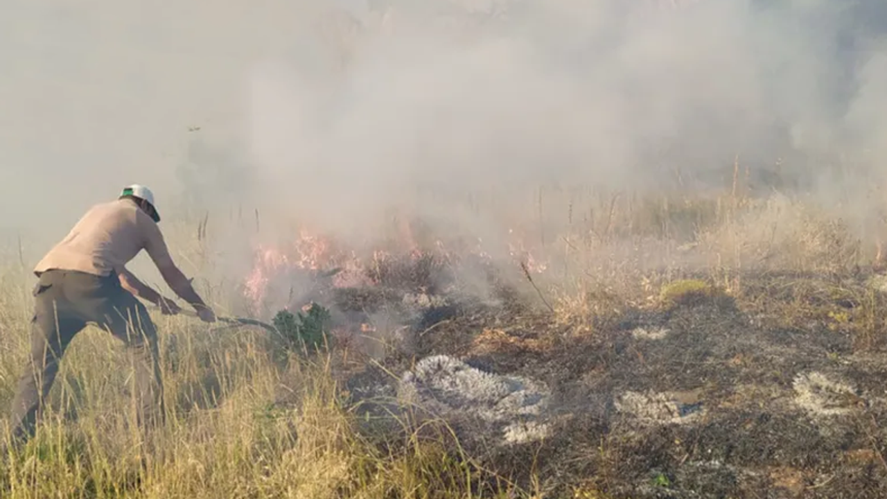 Bingöl'deki orman yangını 5 gündür söndürülemiyor! Bölge halkı tepkili