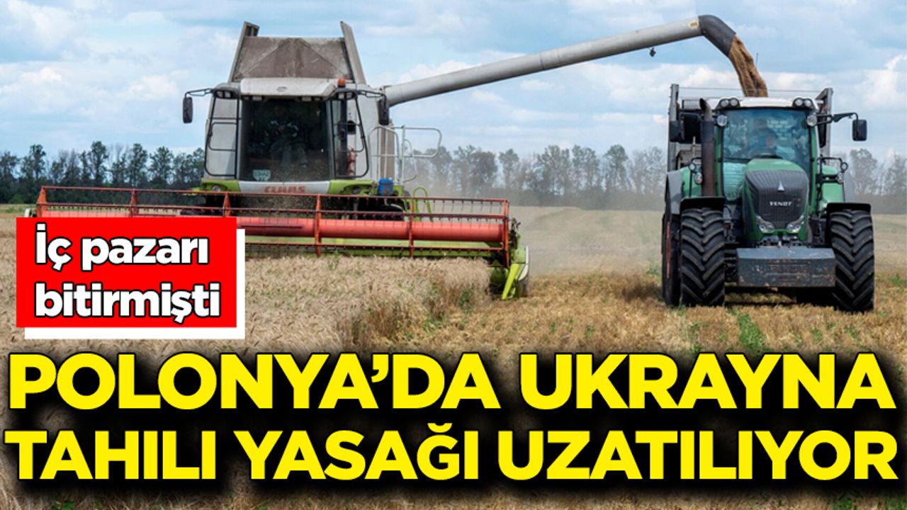 İç pazarı bitirmişti: Polonya’da Ukrayna tahılı yasağı uzatılıyor