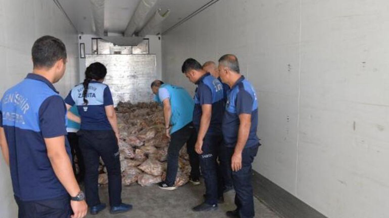 Diyarbakır'da bir tırda 5 ton kaçak kırmızı et ve sakatat ele geçirildi