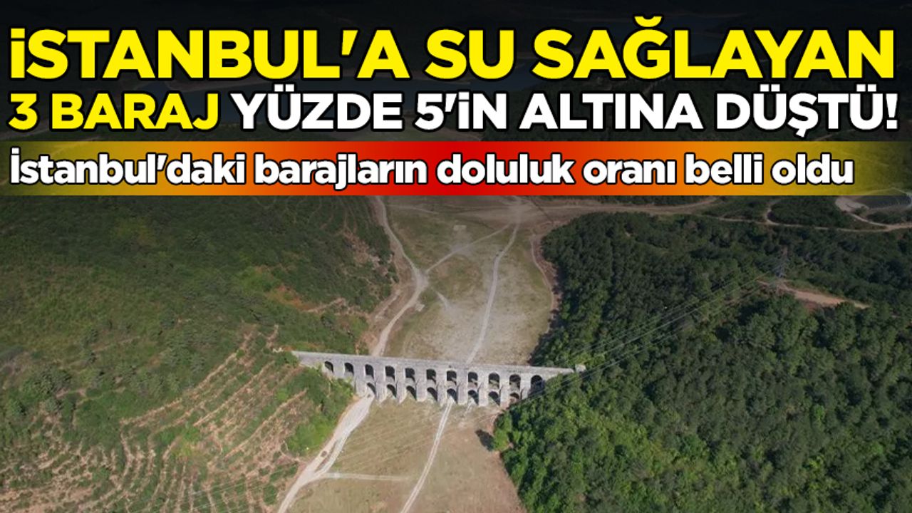 İstanbul'daki barajların doluluk oranı belli oldu