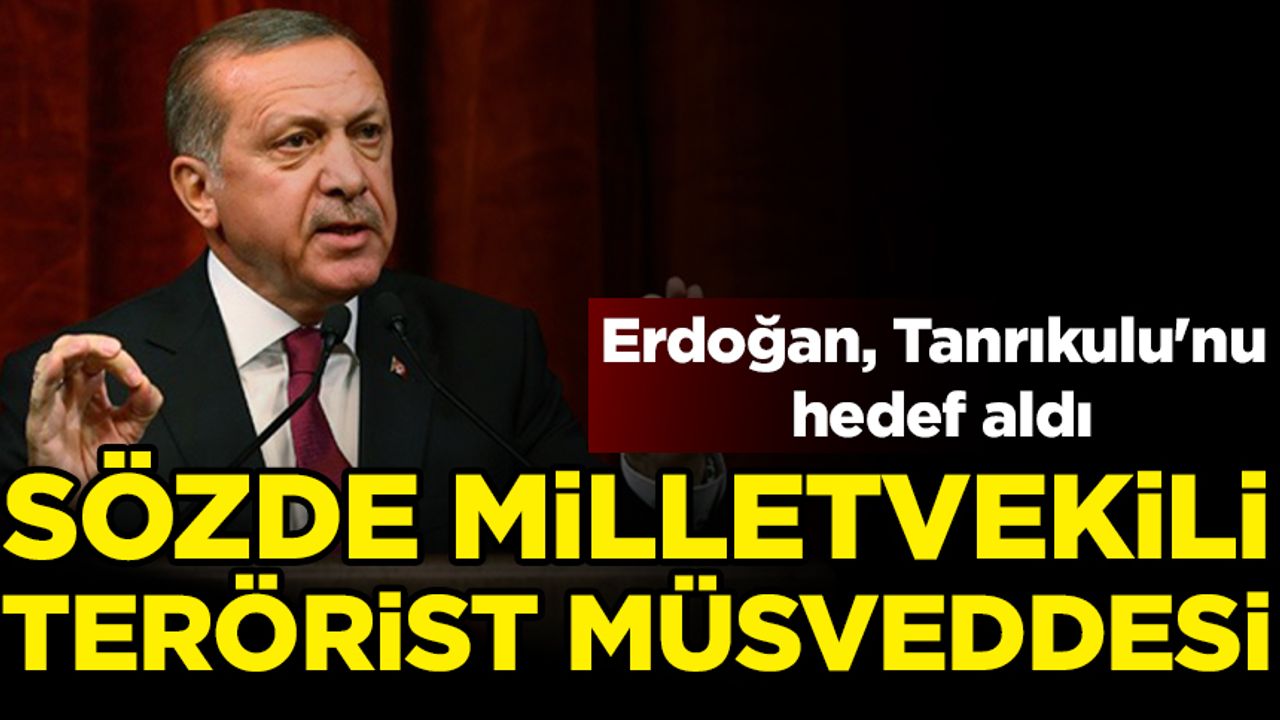 Erdoğan sert sözlerle Tanrıkulu'nu hedef aldı: Sözde milletvekili terörist müsveddesi