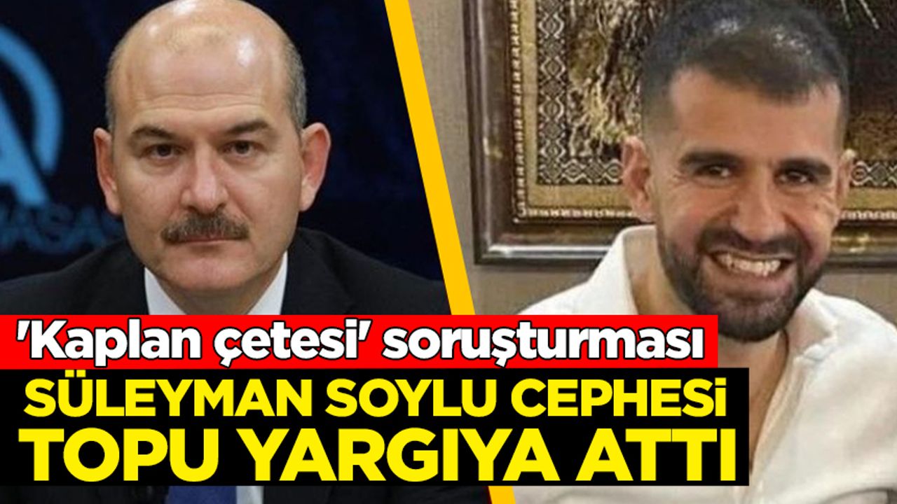 Kaplan çetesi soruşturması: Süleyman Soylu cephesi topu yargıya attı
