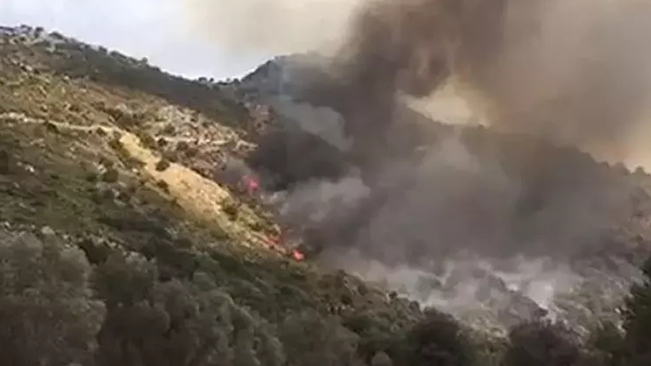 Muğla'da makilik alanda yangın! Havadan ve karadan müdahale ediliyor