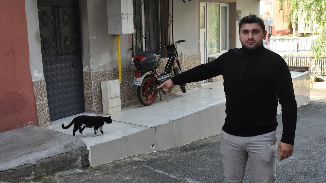 İzmir'de, sokak kedisine keserli saldırı