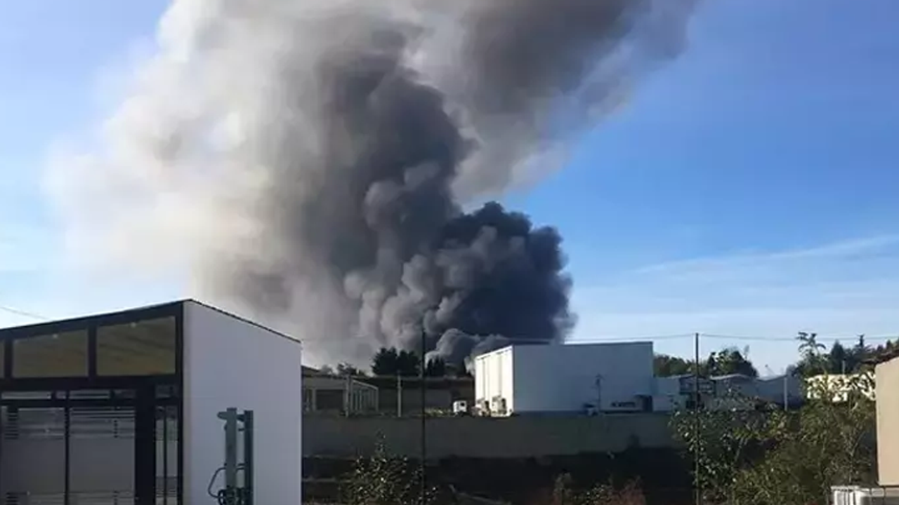 Giresun'da balık fabrikasında yangın! Ekipler bölgeye sevkedildi