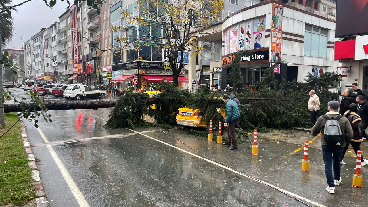 Rize'de fırtına: sac uçtu, ağaç taksinin üzerine devrildi