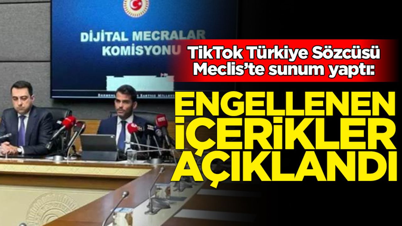 TikTok Türkiye Sözcüsü Meclis’te sunum yaptı