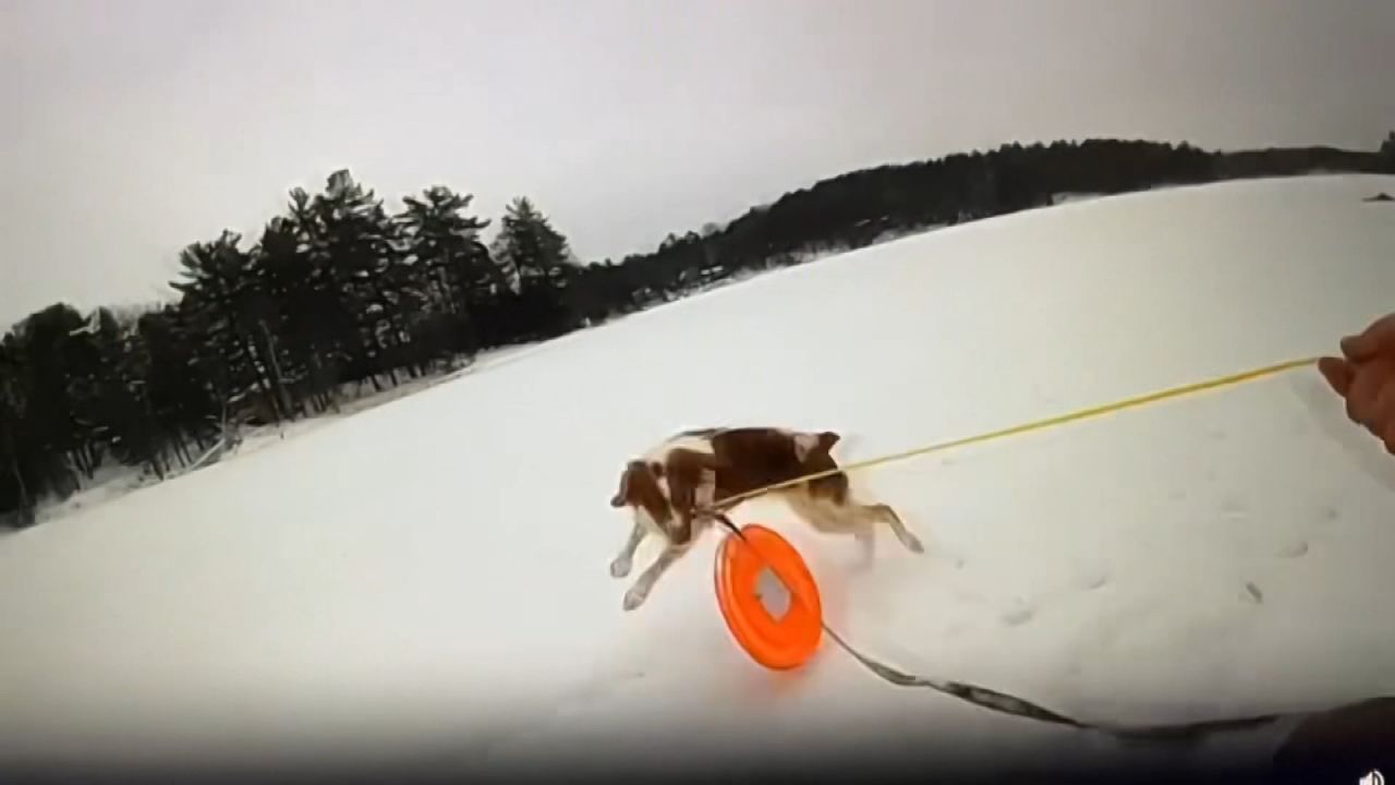 ABD'de donmuş göle düşen adamı, köpeği ve polis kurtardı