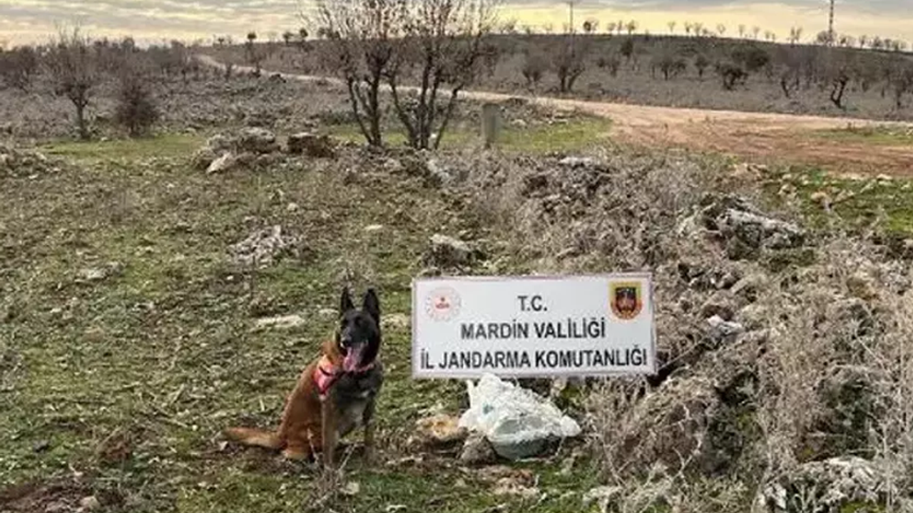Mardin'de PKK'nın tuzakladığı el yapımı patlayıcı imha edildi