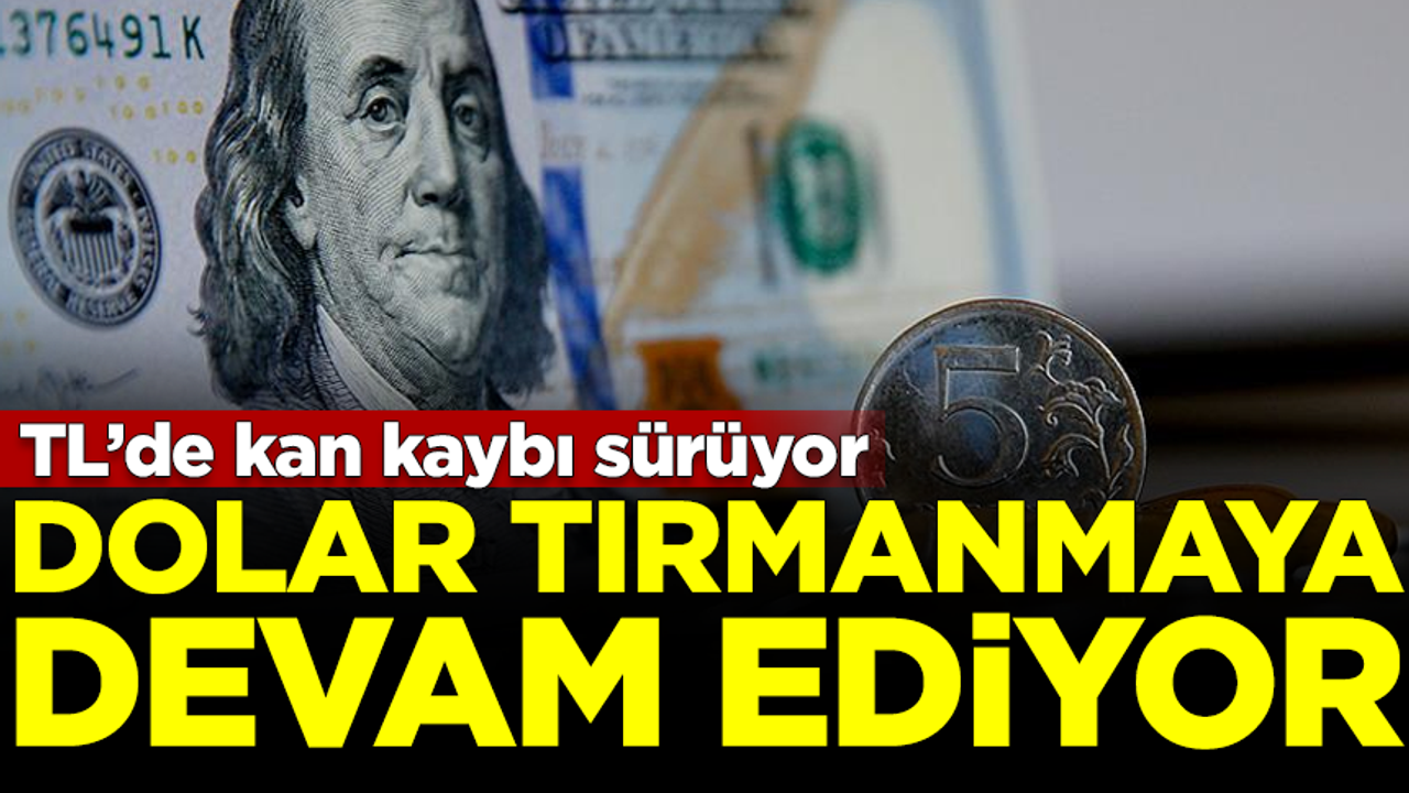 Dolar tırmanmaya devam ediyor! Türk Lirası'nda kan kaybı sürüyor