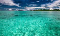 Endonezya’da ‘koruma altındaki adalar’ açık arttırmaya çıkıyor 