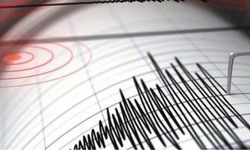 AFAD açıkladı: Van'da 3.9 şiddetinde deprem