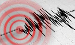 Bitlis'te korkutan deprem