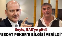 Sedat Peker'den aylar sonra hareketlilik