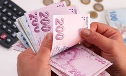 Ekonomist Çapoğlu rakam verdi: Devlet 2 bin 500 liranızı çalıyor