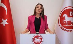 DP'li Çevik, bütçe görüşmelerinde açıklamalarda bulundu