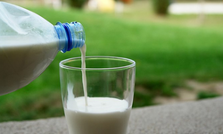 Süt ürünleriyle ilgili yeni düzenleme
