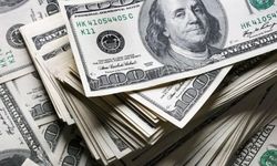 Capital Economics istikrarsızlık bekliyor: Dolar...