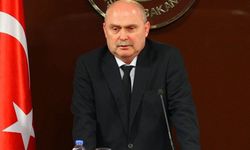 BM Daimi Özel Temsilcisi Feridun Sinirlioğlu'nun istifası!
