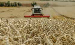 Ömer Fethi Gürer: Kredi faiz artışları çiftçileri olumsuz etkiliyor
