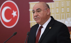 AK Partili Karahocagil: Parlamenter sistem, tam küresel güçlerin' istediği sistem