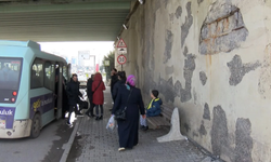 Köprüden çıkan midye kabukları endişe yarattı: Birçok yapı bu halde!
