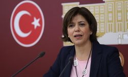 HDP Grup Başkanvekili Beştaş'tan Yunanistan kıyaslaması