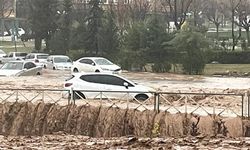 Şanlıurfa Belediye Başkanı'na sert tepki!