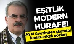 Anayasa Mahkemesi üyesinden skandal açıklama: Kadın-erkek eşitliği modern hurafe