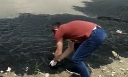 Boğazköy Barajı'nın yüzeyi siyaha büründü