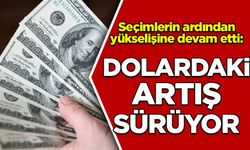 Dolardaki artış sürüyor
